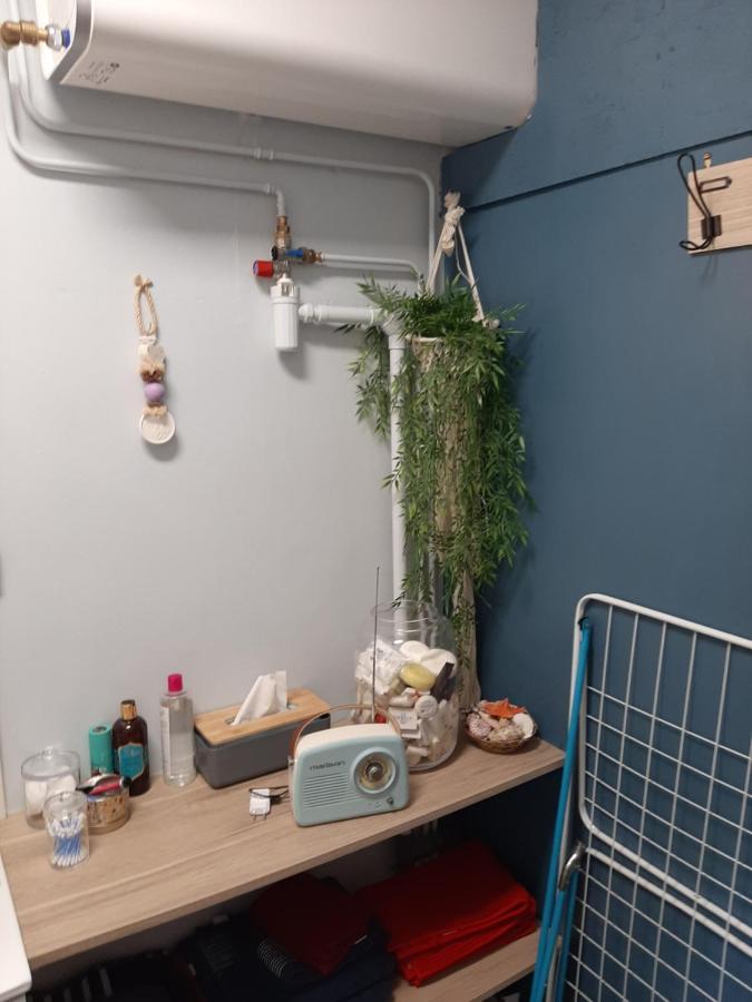 Joli Duplex Proche Commerces Et Mer ステラ・プラージュ エクステリア 写真